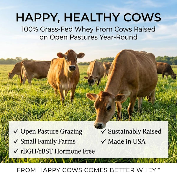 Grass Fed Whey Protein from Healthy Hapy Cows on Open Pastures